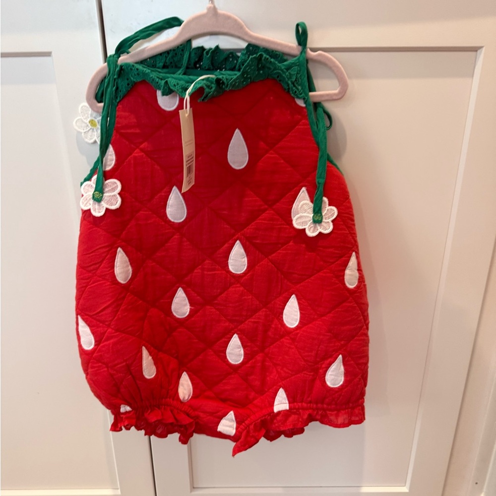 TBBC Toddler Costume